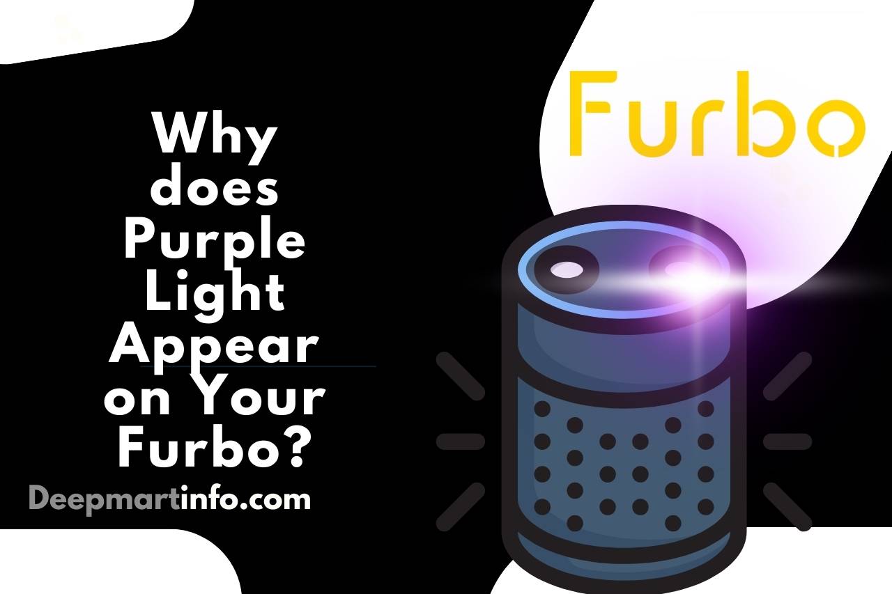 Why does Purple Light Appear on Your Furbo