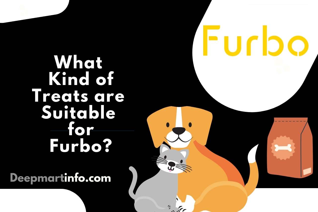What Kind of Treats are Suitable for Furbo