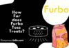 How Far does Furbo Toss Treats