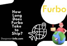 How Long Does Furbo Take to Ship